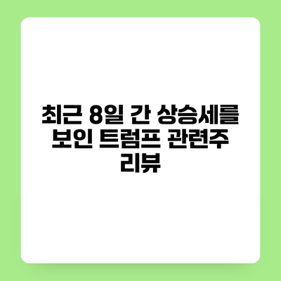 최근 8일 간 상승세를 보인 트럼프 관련주 리뷰
