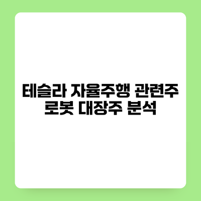 테슬라 자율주행 관련주 로봇 대장주 분석