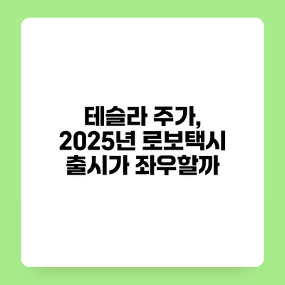 테슬라 주가, 2025년 로보택시 출시가 좌우할까?