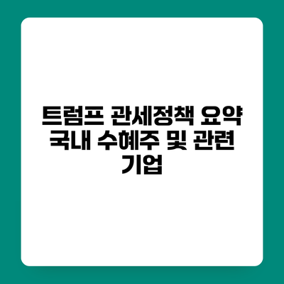 트럼프 관세정책 요약 국내 수혜주 및 관련 기업
