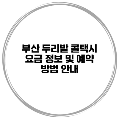 부산 두리발 콜택시 요금 정보 및 예약 방법 안내